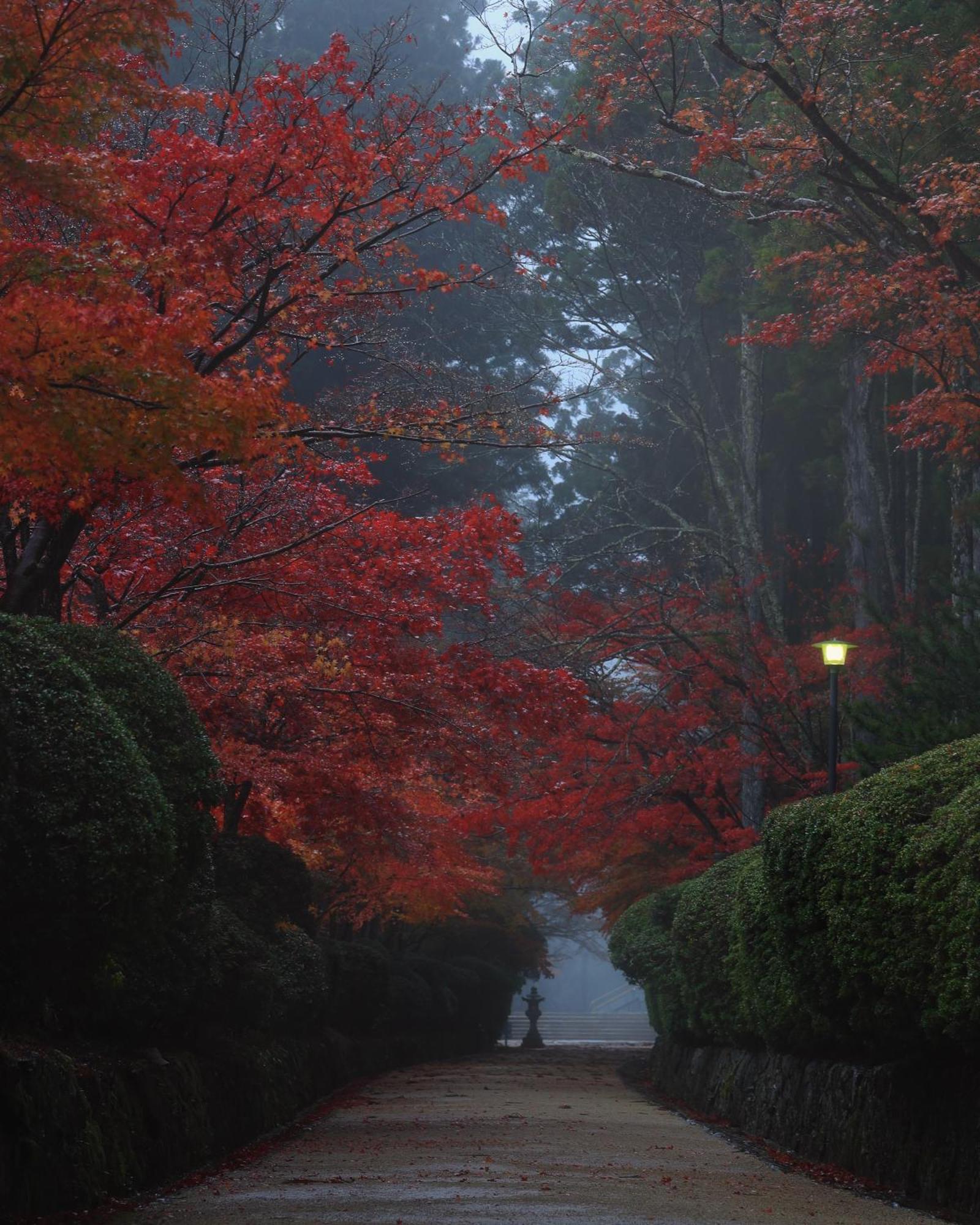 Koyasan Guesthouse Kokuu Luaran gambar